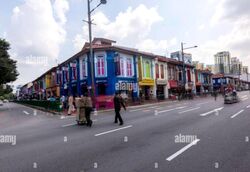 Little India Conservation Area (D8), Shop House #469189951